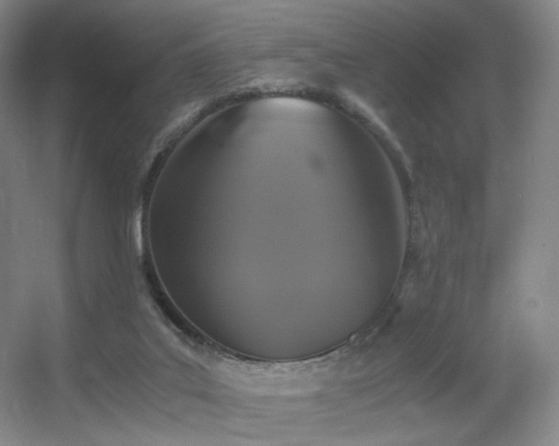 X0000056000019200508221335