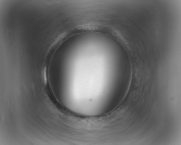 X0000056000020200508221335