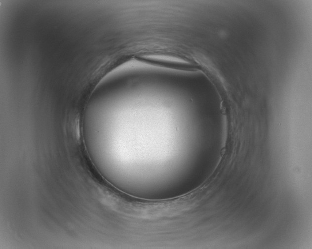 X0000056000021200508221335