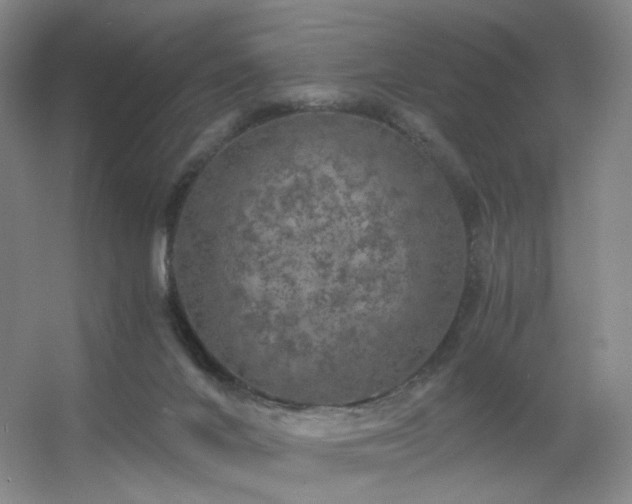 X0000056000024200508221335