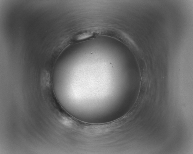 X0000056000025200508221335