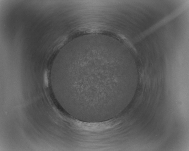 X0000056000026200508221335