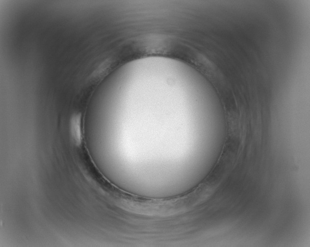 X0000056000028200508221335