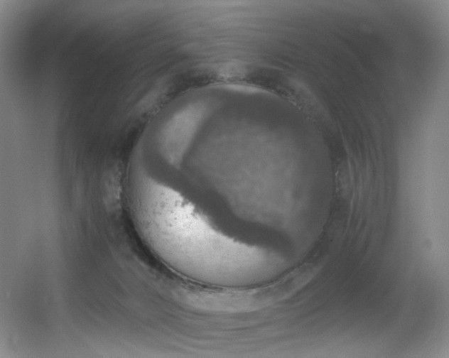 X0000056000032200508221335