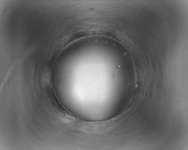 X0000056000033200508221334