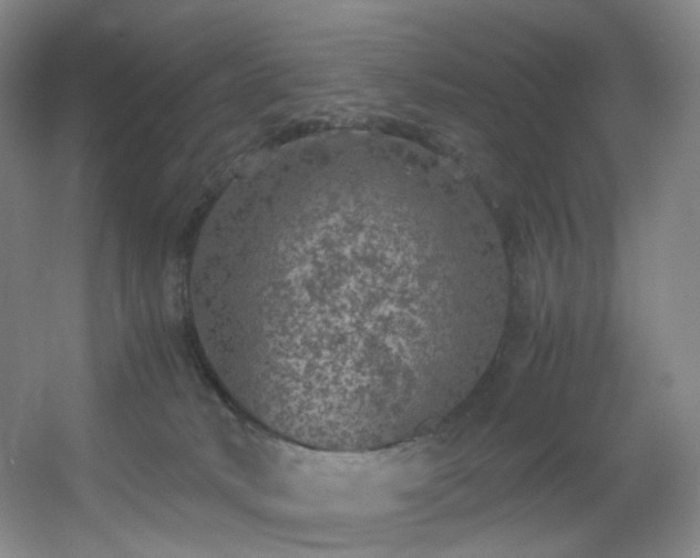 X0000056000034200508221334