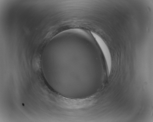 X0000056000035200508221334