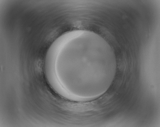 X0000056000036200508221334