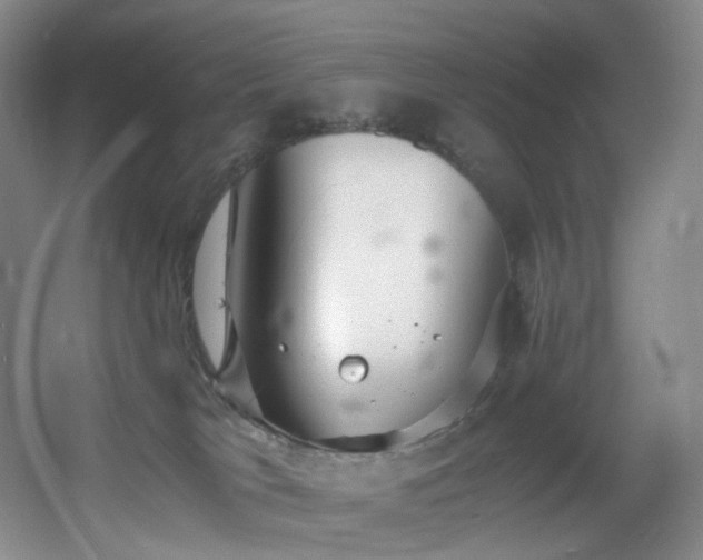 X0000056000037200508221334