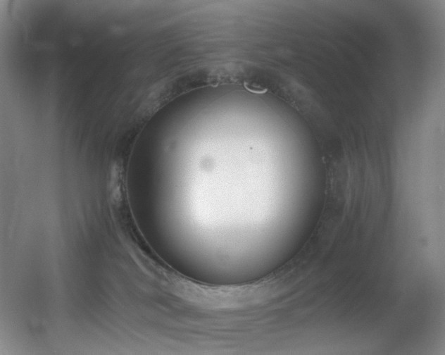 X0000056000038200508221334