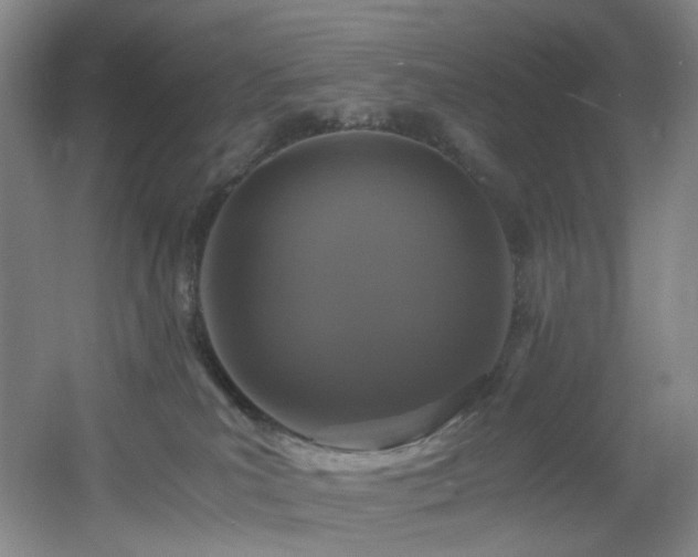 X0000056000039200508221334