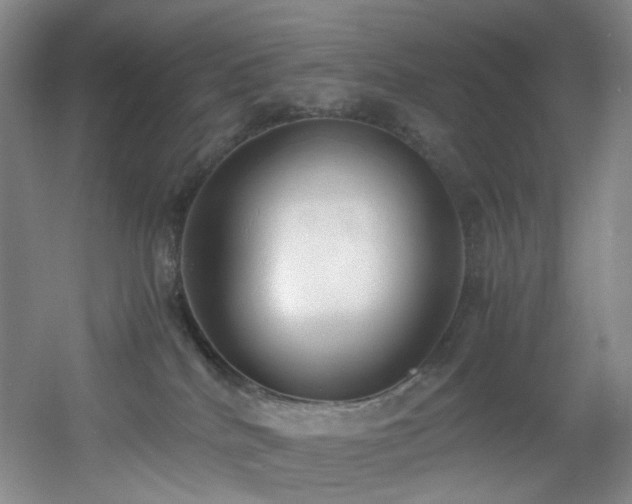 X0000056000040200508221334