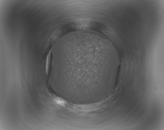 X0000056000041200508221334