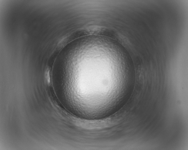 X0000056000042200508221334