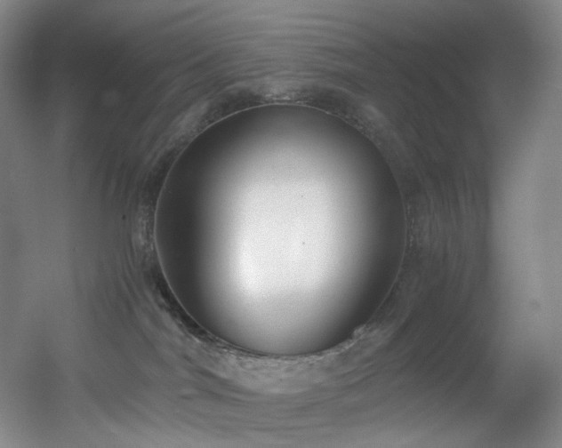 X0000056000044200508221334