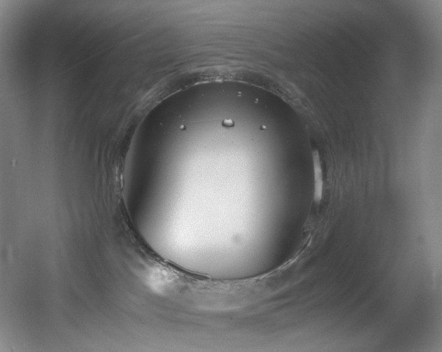 X0000056000045200508221334