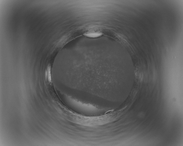 X0000056000046200508221334