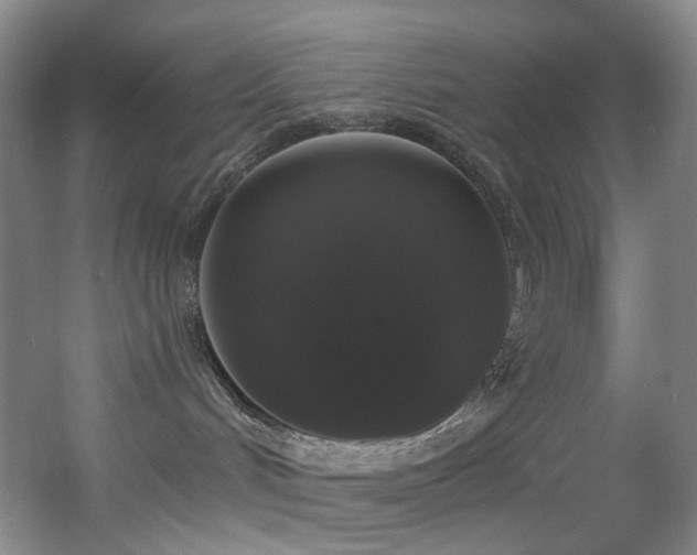 X0000056000048200508221334