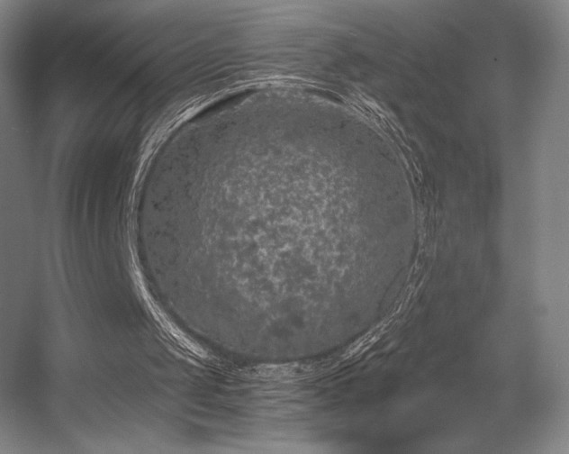 X0000056000049200508221333