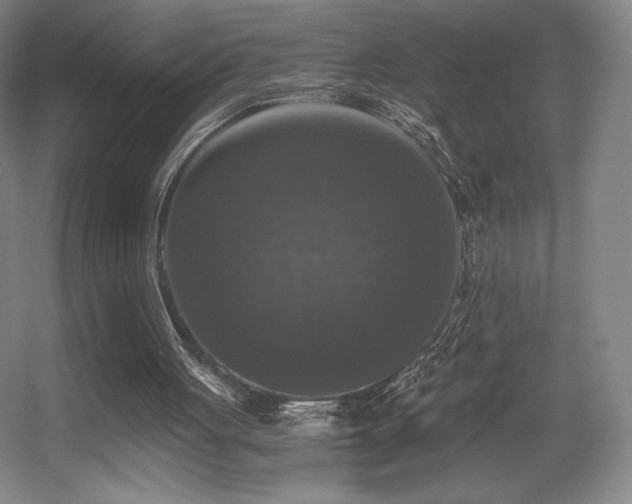 X0000056000051200508221333