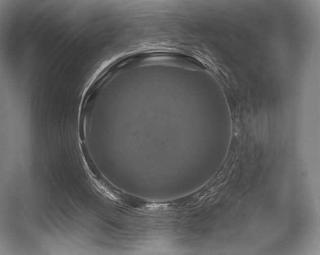 X0000056000052200508221333