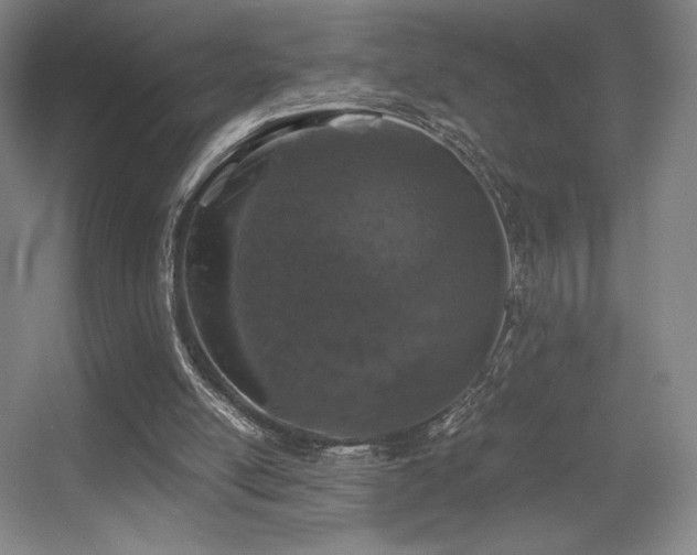 X0000056000054200508221333