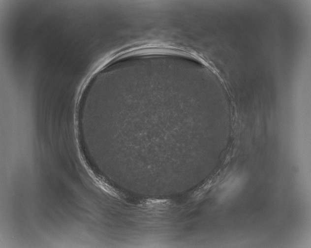 X0000056000055200508221334