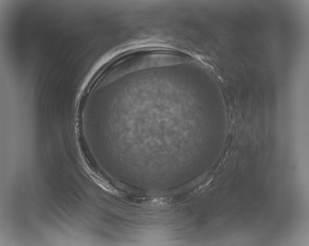 X0000056000056200508221334