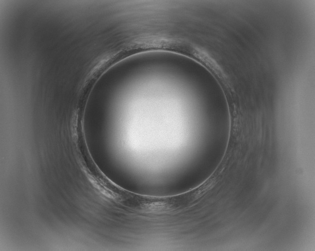 X0000056000058200508221334