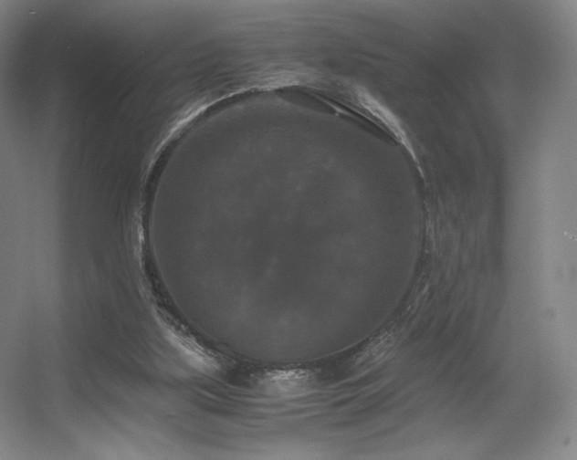 X0000056000059200508221334