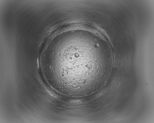 X0000056000061200508221334