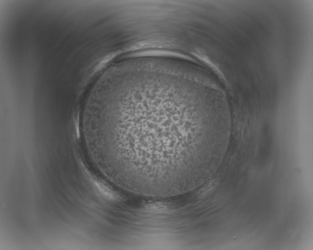 X0000056000062200508221334