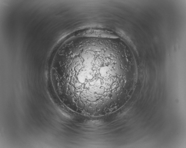 X0000056000063200508221334