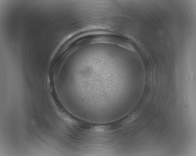 X0000056000064200508221334