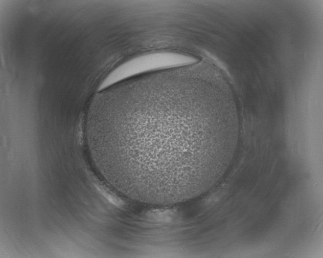 X0000056000065200508221334