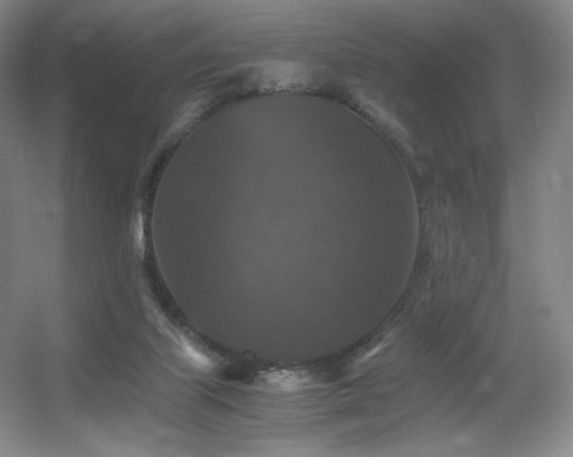 X0000056000067200508221334