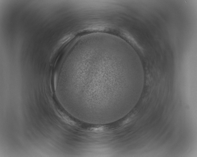 X0000056000068200508221334