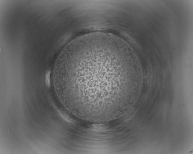 X0000056000070200508221334