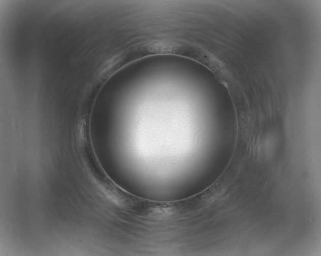 X0000056000071200508221334