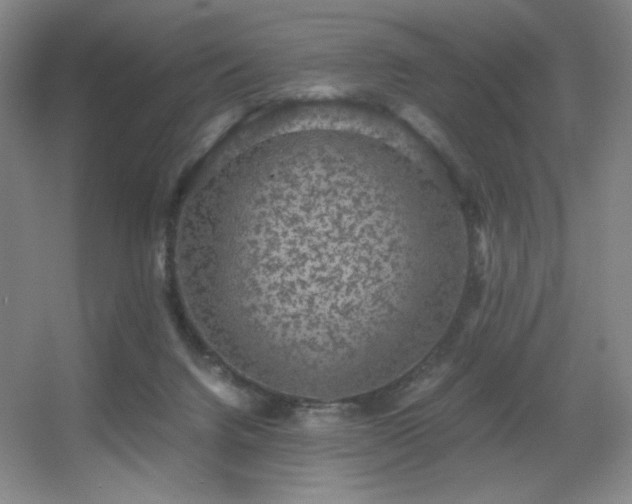 X0000056000072200508221334