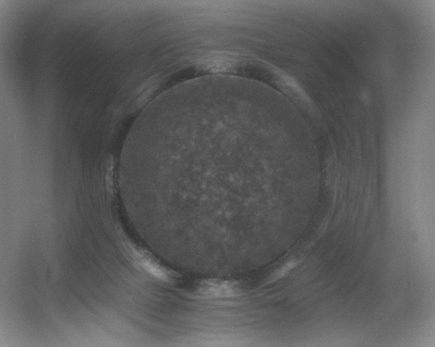 X0000056000073200508221334