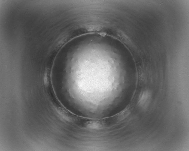 X0000056000074200508221334