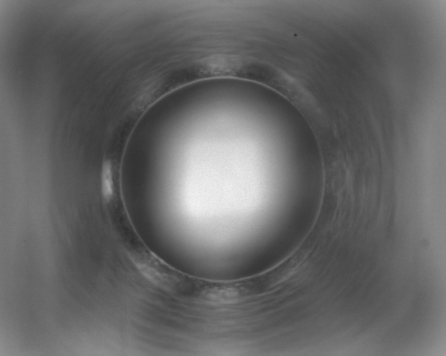 X0000056000075200508221334