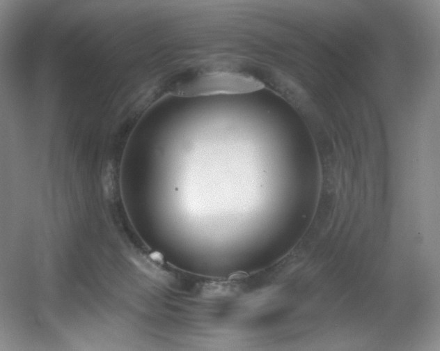 X0000056000077200508221334