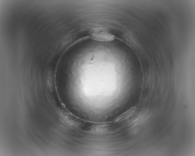 X0000056000078200508221334