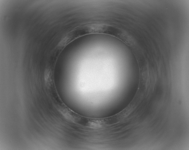 X0000056000079200508221334