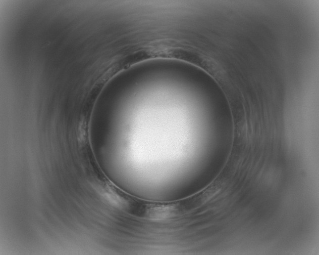 X0000056000081200508221334