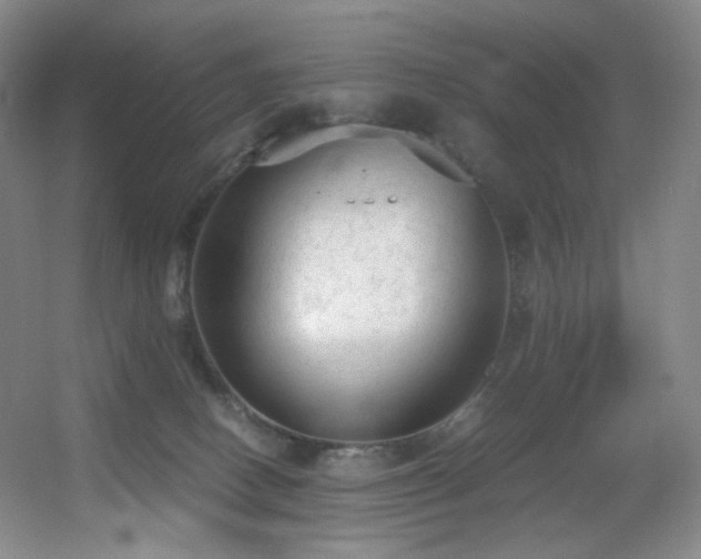 X0000056000082200508221334