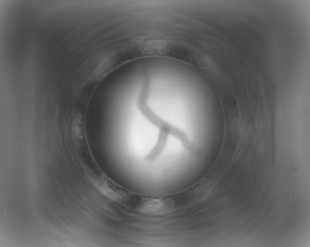 X0000056000083200508221334