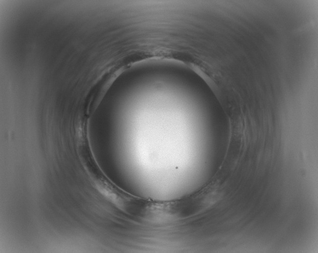 X0000056000084200508221334